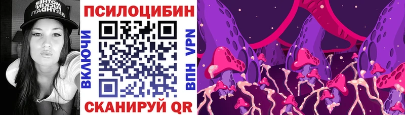 купить наркотик  Алейск  Галлюциногенные грибы Magic Shrooms 