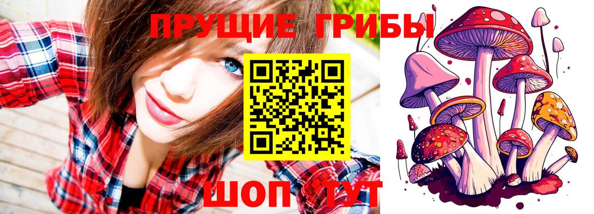 Алейск  Галлюциногенные грибы прущие грибы  Вход с VPN  Псилоцибиновые грибы GOLDEN TEACHER 